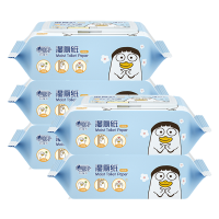 心相印湿厕纸速干无刺激一抹洁净天然亲肤5包XCY080+P2(包装随机)