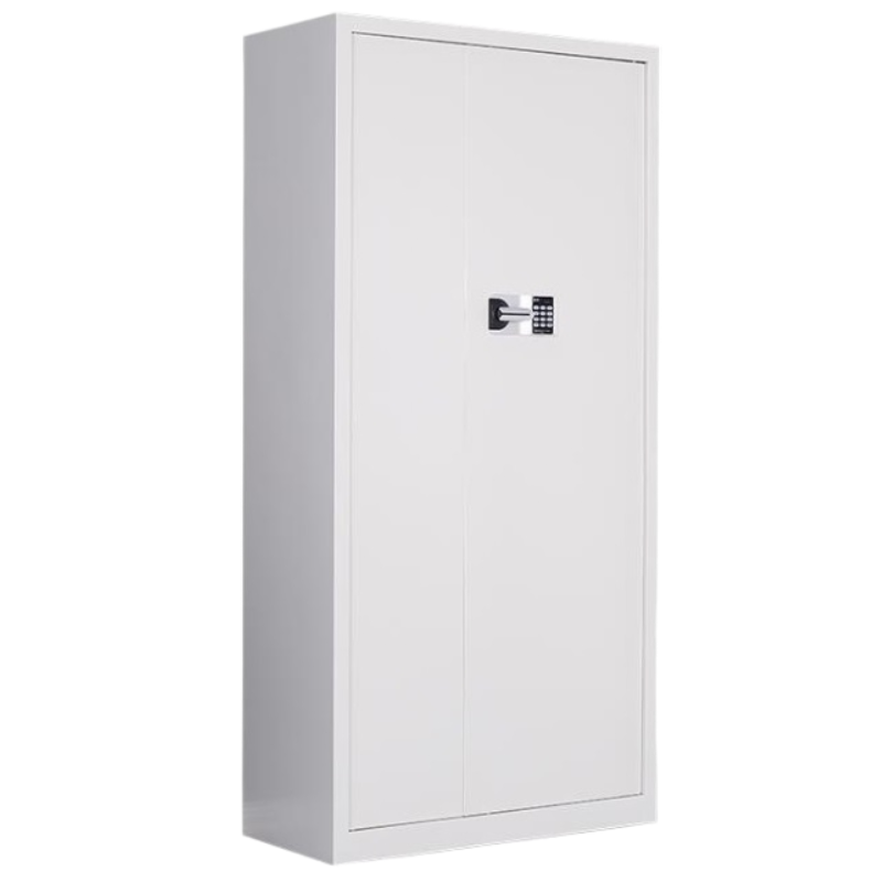 红贤堂 文件柜储物柜 可定制 HXT-WJG02 个