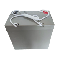 瑞智晟明(RZSM)锂电池NPG12-100Ah