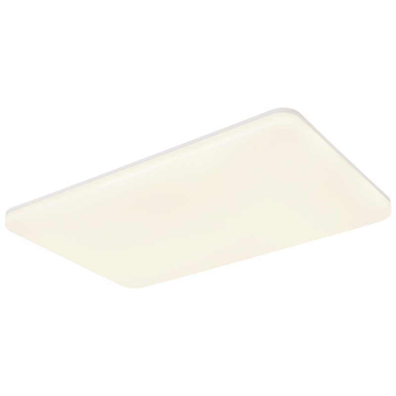 雷士照明IP40全光谱护眼吸顶灯客厅主灯卧室灯快装新款全屋灯具