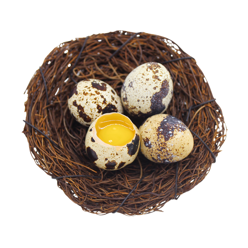 [神丹]无抗养殖 新鲜鹌鹑蛋 50枚 五谷喂养生态养殖营养辅食安全蛋