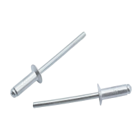 志浪 铝沉头拉铆钉5*25 个