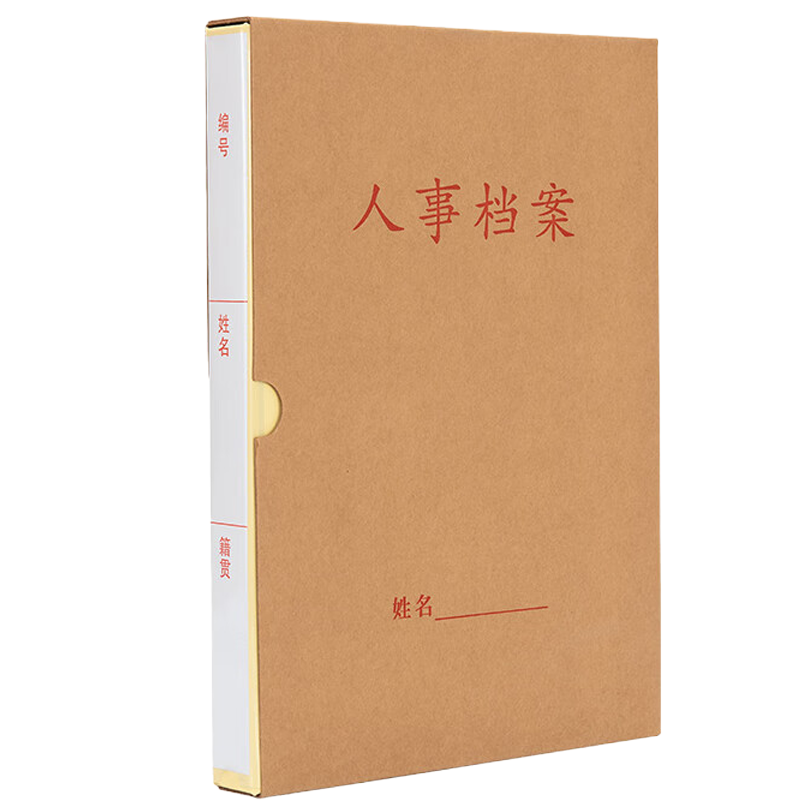 凌美盛 优选PP材质干部人事档案盒 A4新标准 三柱蛇簧夹25mm背宽RSDA28 可定制/个