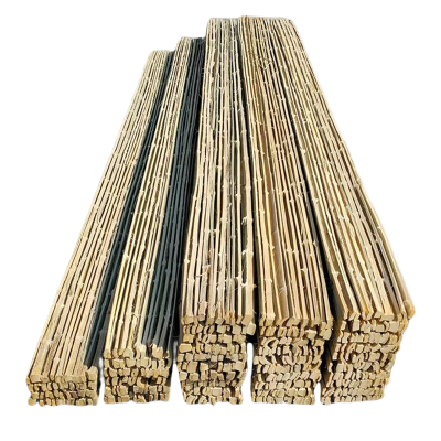 贝策 竹踏板 竹架板竹跳板 250*2900mm 个