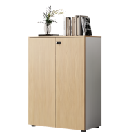 智叶舟矮柜两门800*400*1200mm台