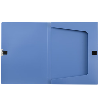 凌美盛 A4档案盒20mm蓝色 可装200张复印纸 WJH29-1/个