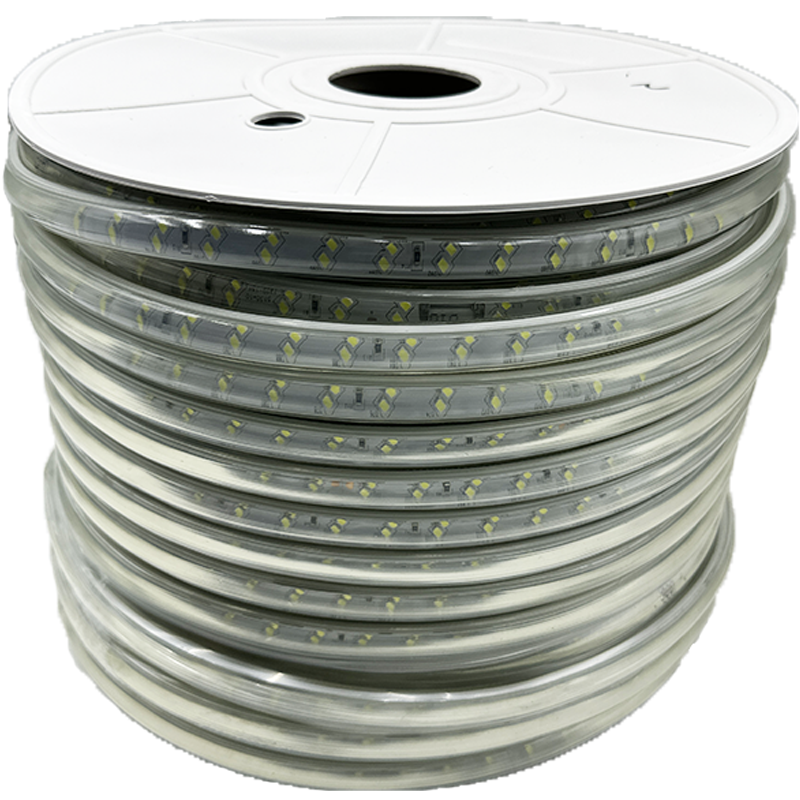 盛王盛荣 LED灯带