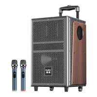惠度(HuiDu)KKH-08移动演出音响户外广场舞直播音响家用k歌手提便携式大音量低音炮拉杆音箱