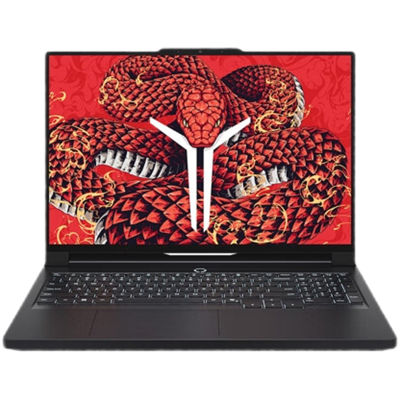 联想拯救者R9000P 2025AI元启电竞游戏本电脑锐龙9 9955HX 5060白