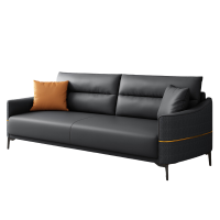 蕃蒂接待沙发1+1+3组