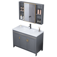 豫龙都浴室柜+穿衣镜1m套