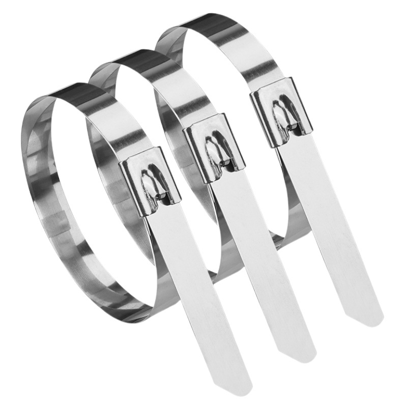 铁驰 不锈钢扎带 10*500 /根