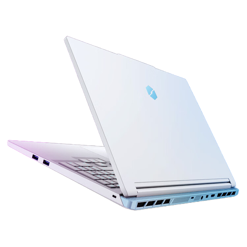 机械革命(MECHREVO)极光X 潮玩版 酷睿i7HX 游戏本笔记本电脑(i7-14650HX 32G 1T RTX5060 2.5K屏 300Hz 海盐白)