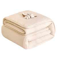 晨磊褥子120*200cm/条