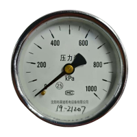 OVN 压力表 0-1000kpa 块