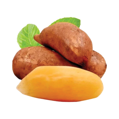 [西沛生鲜]气柱装 云南雪莲果 净重2.5斤装 高山雪莲果 清甜现挖 时令应季