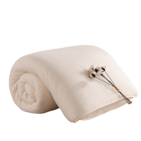 依朴 棉花被棉絮垫被全棉被芯鱼鳞网纱宿舍被芯180*200cm 4斤 床