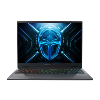 雷神猎刃16 2025英特尔13代酷睿i7HX满血RTX5070电竞游戏笔记本电脑16英寸2.5K 300Hz