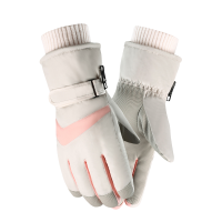 东升美辰 冬季加厚保暖骑行手套女士均码米色 DS-XH014 双