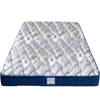 铭志办公家具 1.2米床垫MZGT11(1200㎜*2000㎜*68㎜ )张