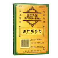 痛畀贴(跌打损伤型)10cm*13cm*2贴/盒 云南贝洋
