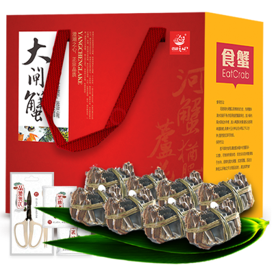 买8只送8只!澄湖之心大闸蟹 实物鲜活螃蟹 母蟹2.5-2.8两共16只