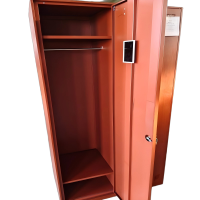 鑫欣韵 钢制木纹转印两门衣柜 加厚钢板 2000*1000*600mm 组