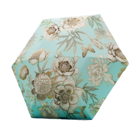 天堂 防紫外线阳伞五折黑胶防晒轻便胶囊伞 拾光