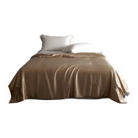 伊伊爱 真丝夏被