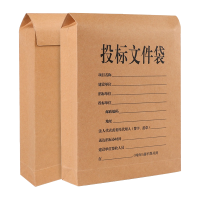 翌嘉 YJ40621103 牛皮纸档案袋文件袋投标文件袋6CM
