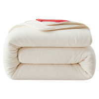 云意生 冬被 鱼鳞网纱棉花被 150*200cm*5斤 条