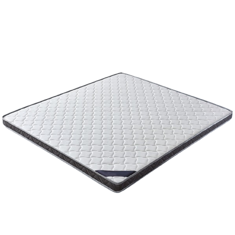 昕蓝梦 椰棕床垫 1.0*2.0m 个