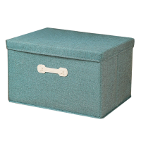 乐琪艺 整理箱50*40*30cm个