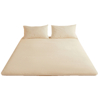 莱依瑾 褥子 4斤/张