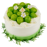 安德莉亚+生日蛋糕+动物奶油+新鲜水果