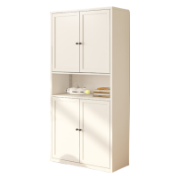 智叶舟钢制储物柜两门中空80*35*200cm台