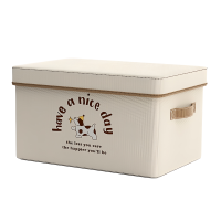 乐琪艺 收纳箱50*35*30cm个