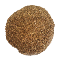 宽叶雀稗草坪种子 常用生态绿化修复护坡草种 速生复绿草坪草籽 单位/1kg