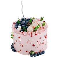 安德莉亚+生日蛋糕+动物奶油+新鲜水果