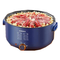 康佳5L电火锅 KZG-HP502
