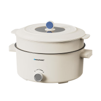 BLAUPUNKT 蓝宝电火锅家用大容量多功能电炒锅火锅专用锅5L容量电火锅 BP-HG501