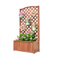 伊洛源装饰花架