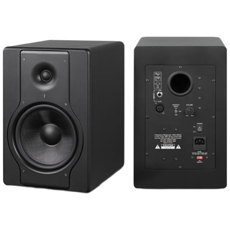 润普 监听音箱 RP-FVH12