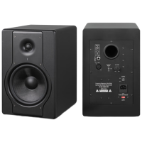 润普 监听音箱 RP-FVH12