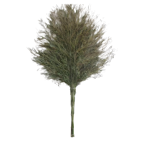 丰奋 大扫帚 3斤 把