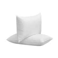 梦佳莉 全棉防羽布羽丝绒枕芯 SY-ZX02 45*75cm*900g 个