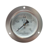 OVN 普通压力表 Y-100轴向带边 块