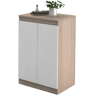 豫龙都 鞋柜 800*350*1000mm 个