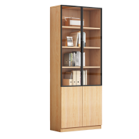 豫龙都 办公柜 双门 个