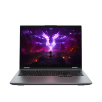 联想 来酷斗战者 战7000 2025酷睿 16英寸电竞游戏本 i7-13650HX 16G 512 RTX5060显卡 180HZ 100%高色域 月光灰 官方标配